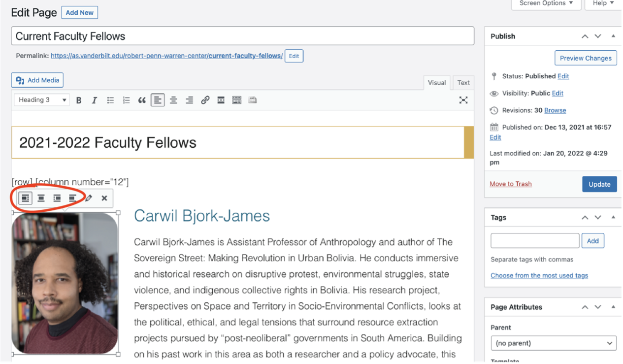 Inserting an image onto a page in Wordpress