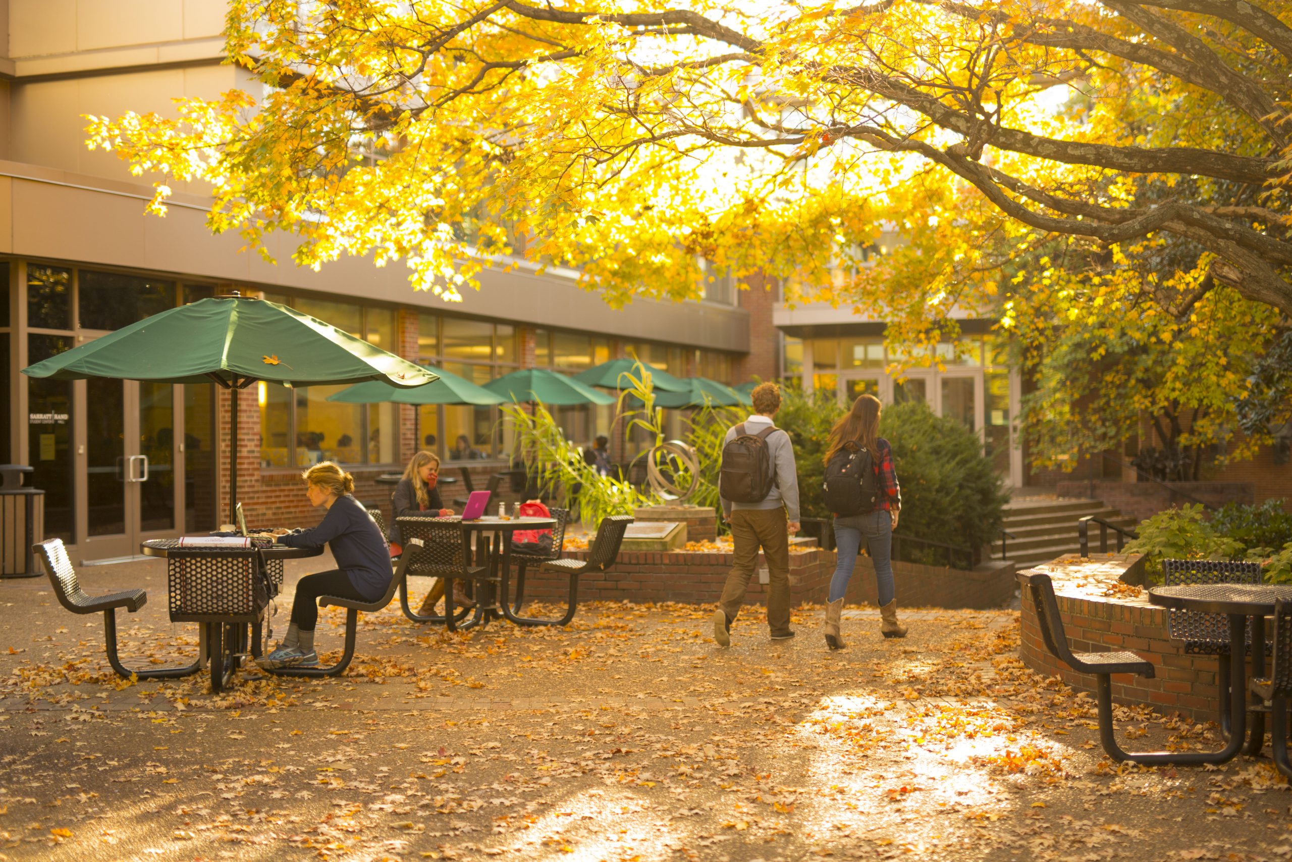 students on campus during fall
