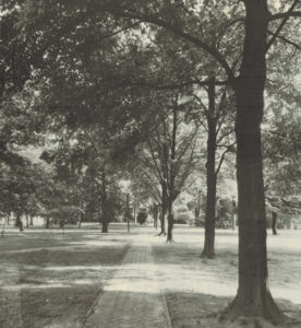 the chancellor's walk