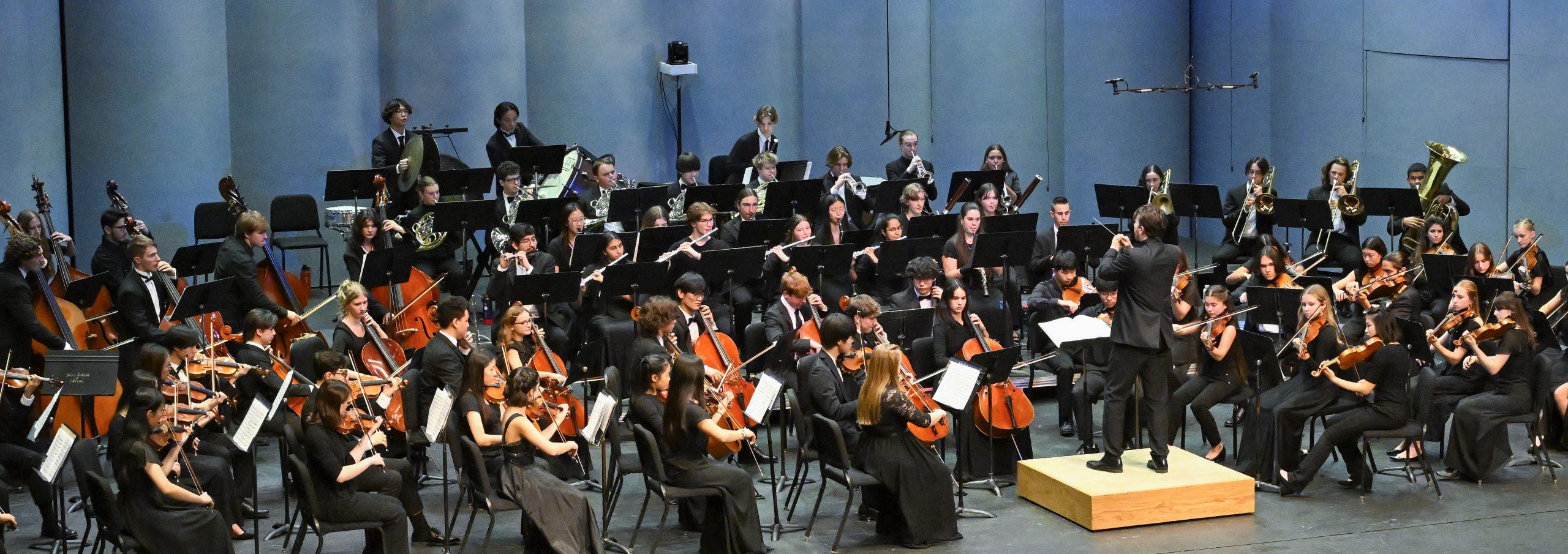 Vanderbilt Youth Orchestras: Chamber & Orchestral Intensive 2025