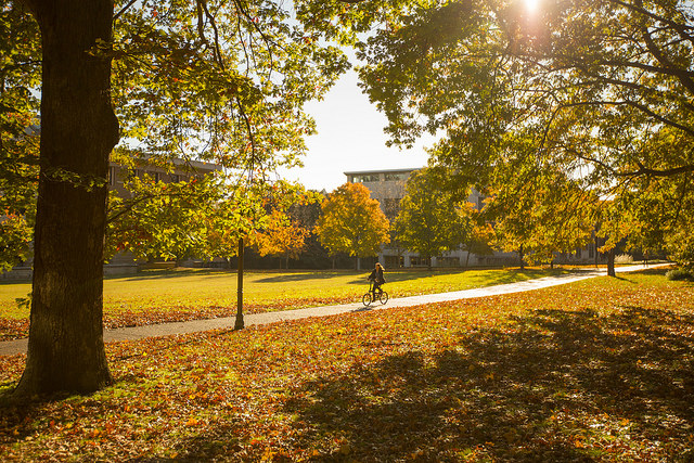 15170665463_210f175fd3_z