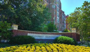 Class of 2029 Regular Decision Summary Statistics