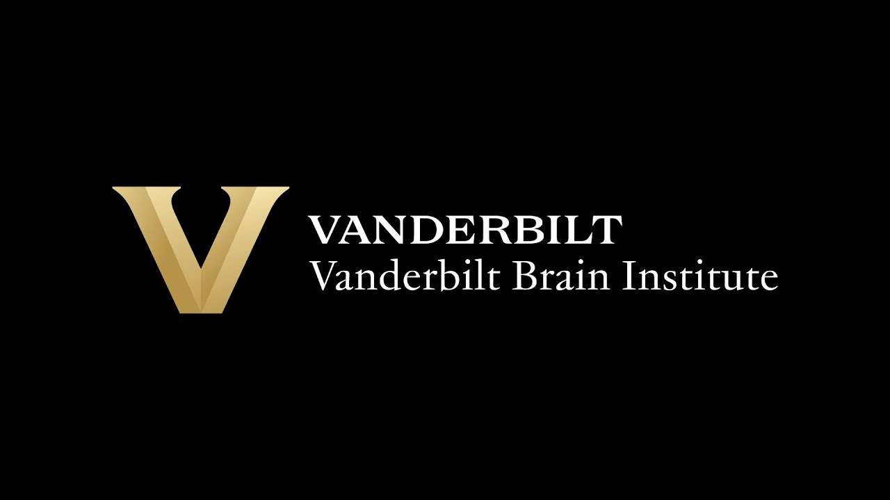 Vanderbilt Brain Institute marks 25 years of discovery with 2025 Brain Blast celebration