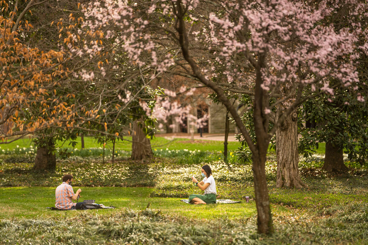 Vanderbilt University