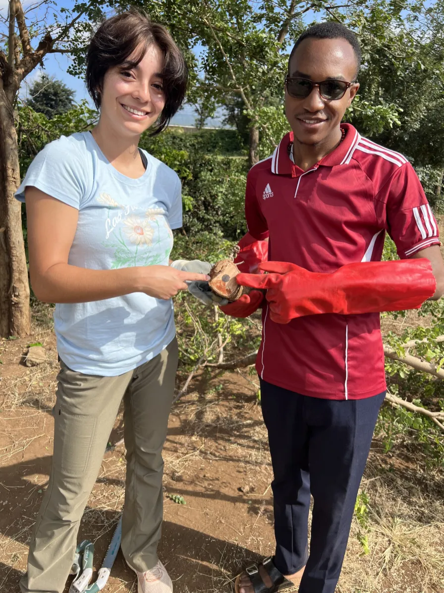 Maya Mueller and a member of the Daraja Music Initiative show the inside of a mpingo tree. Wooden clarinets are built almost exclusively from this black wood. (Submitted photo)