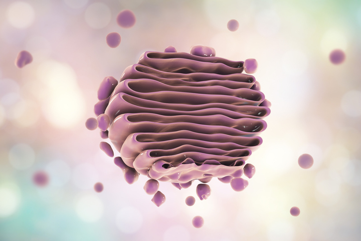 Vanderbilt University