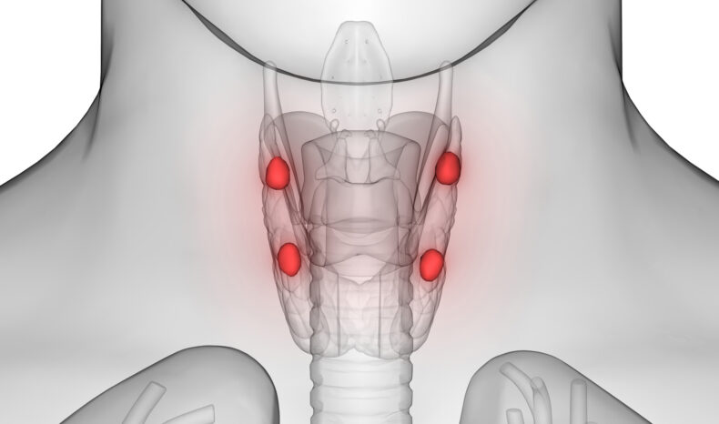 Vanderbilt University