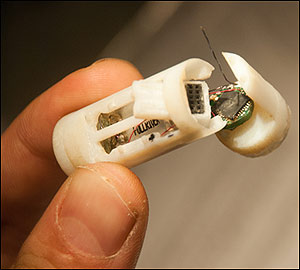 capsule-robot-300x270