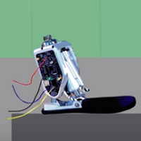 Vanderbilt University