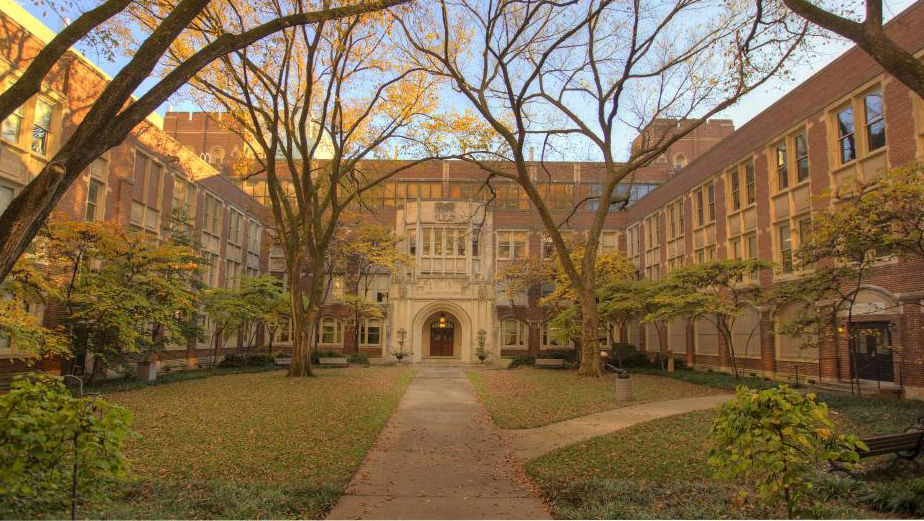 School of Medicine Basic Sciences’ Monteggia and Tyska named fellows by the American Association for the Advancement of Science