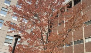 Learning to Love Your GPA