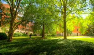 Happy Tears on a Sad Day