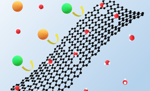 Vanderbilt University