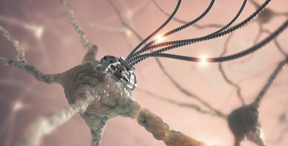 Vanderbilt University