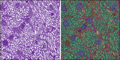 Vanderbilt University