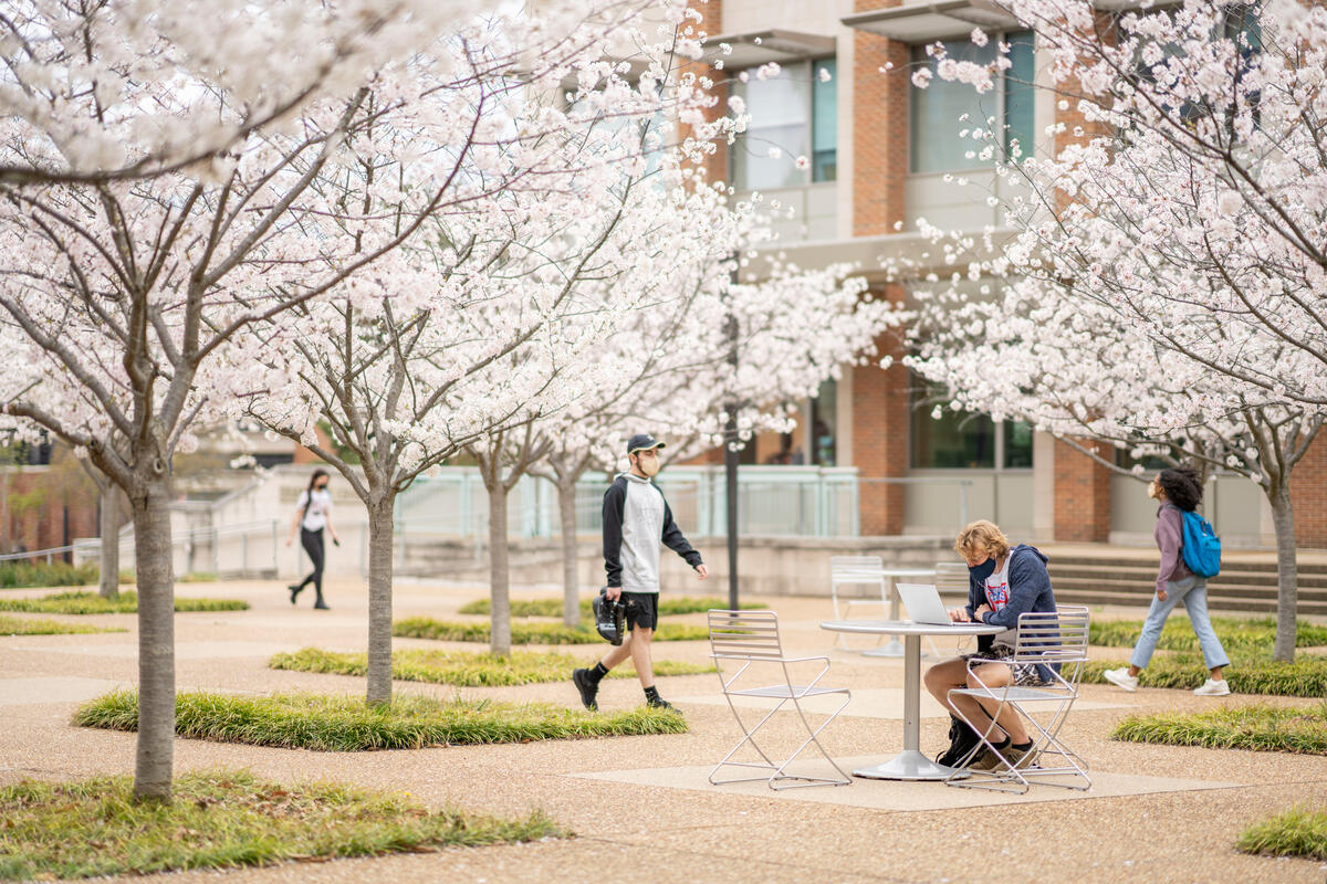 Vanderbilt University