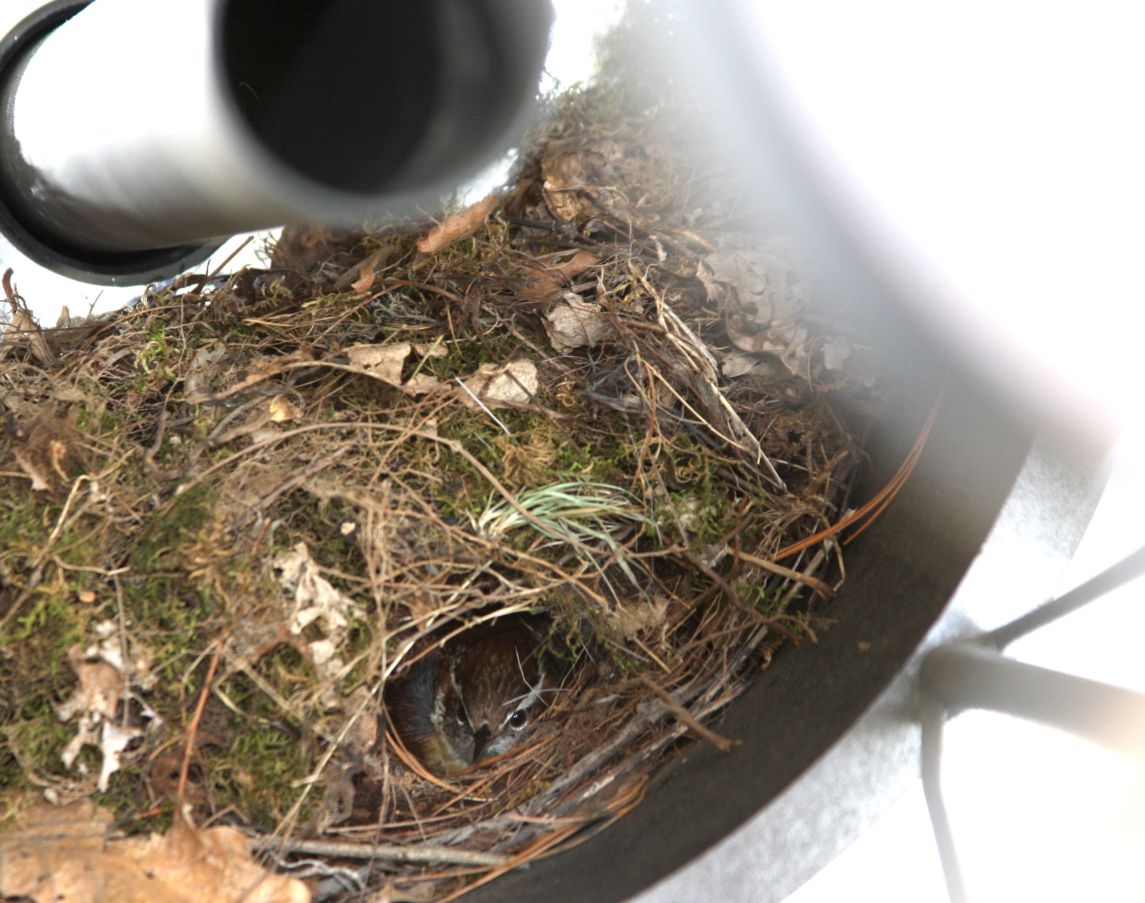 Vanderbilt University