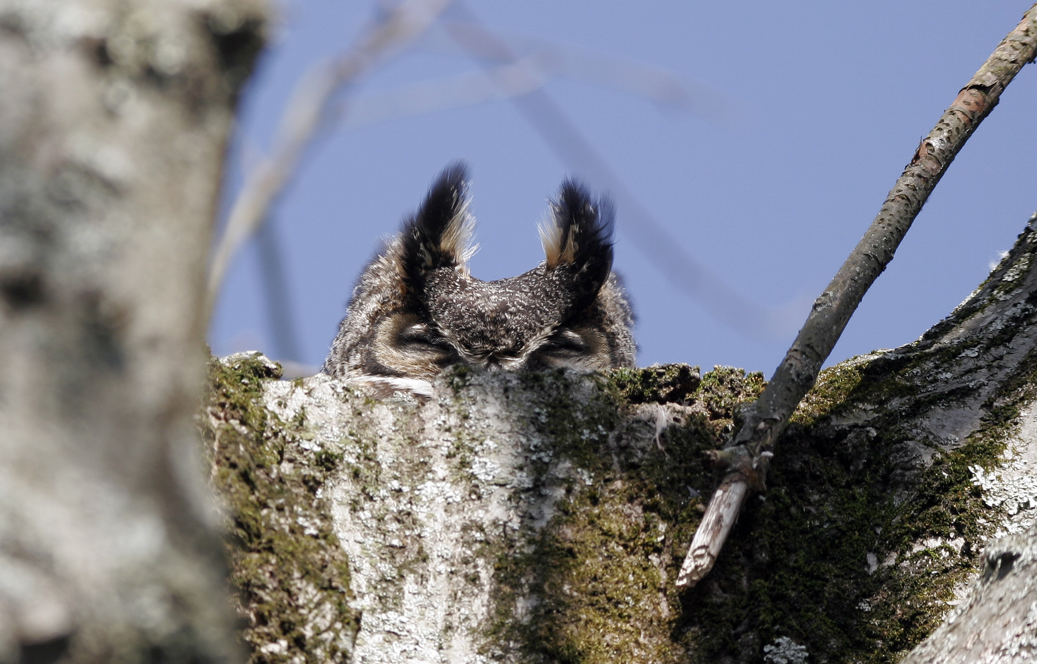 Vanderbilt University