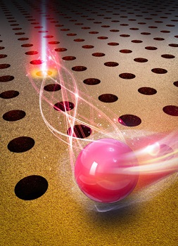 Vanderbilt University