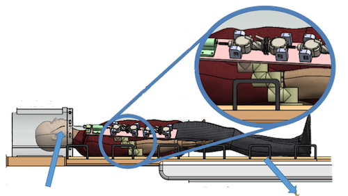 Vanderbilt University