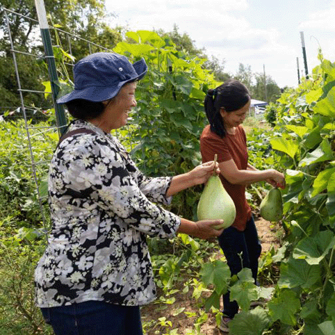 Two women pick plants in a garden