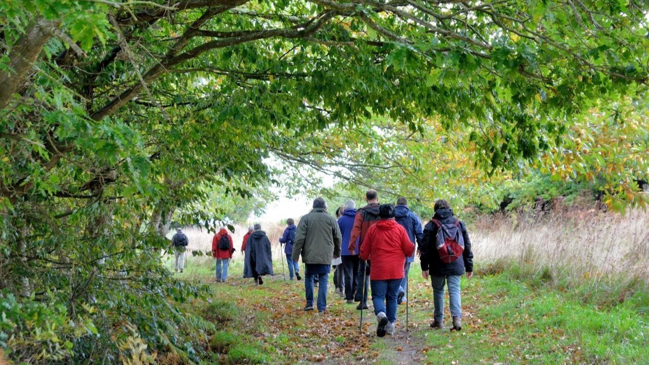 Group of hikers in colorful jackets walking on a leafy trail under a canopy of green trees.