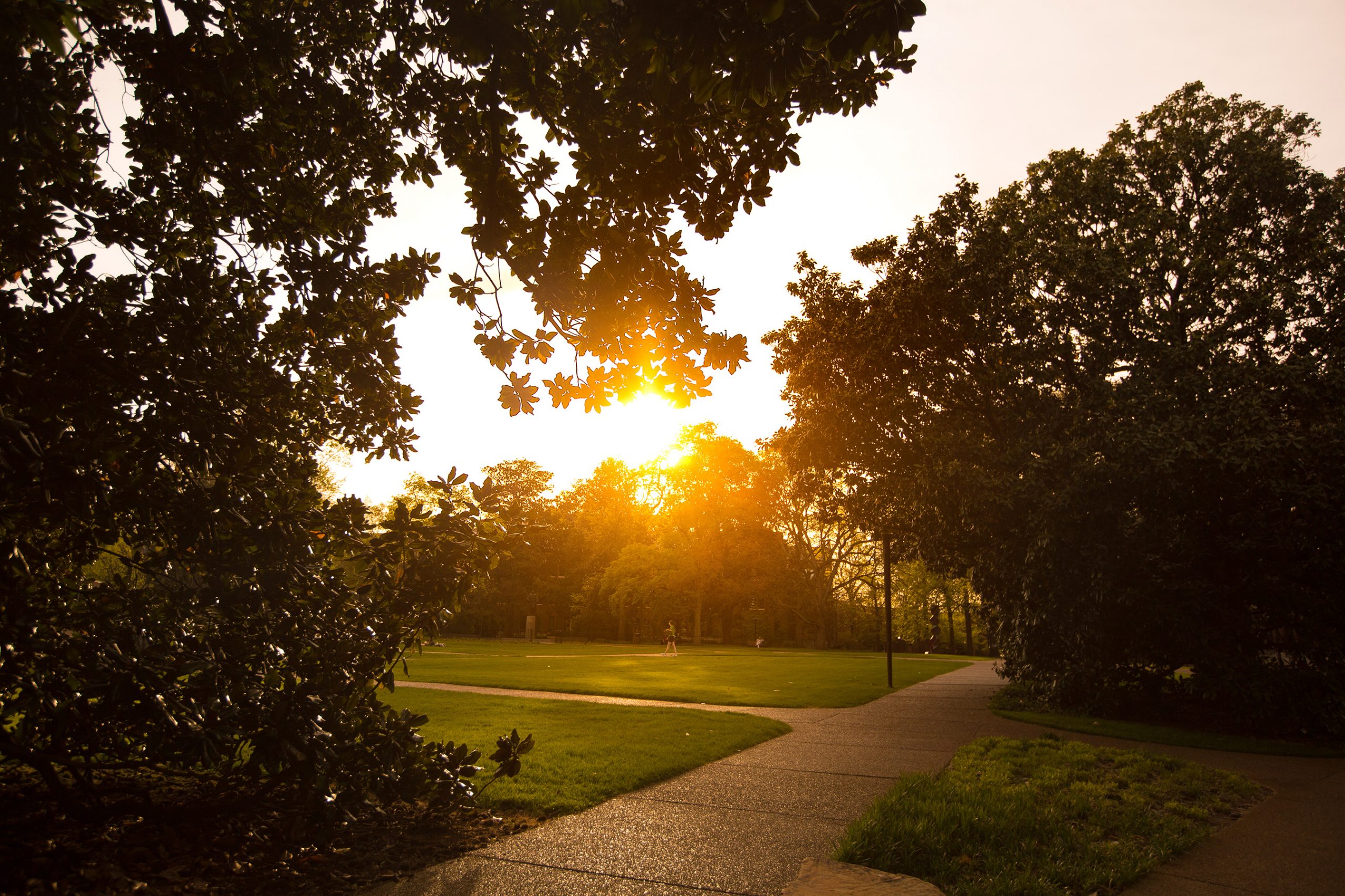 Shot of campus at sunset