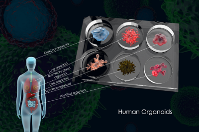 Vanderbilt University