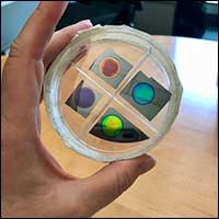 Vanderbilt University