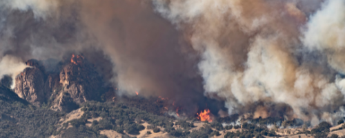 Vanderbilt University