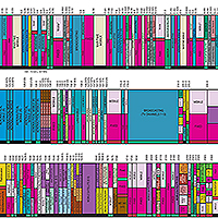Vanderbilt University