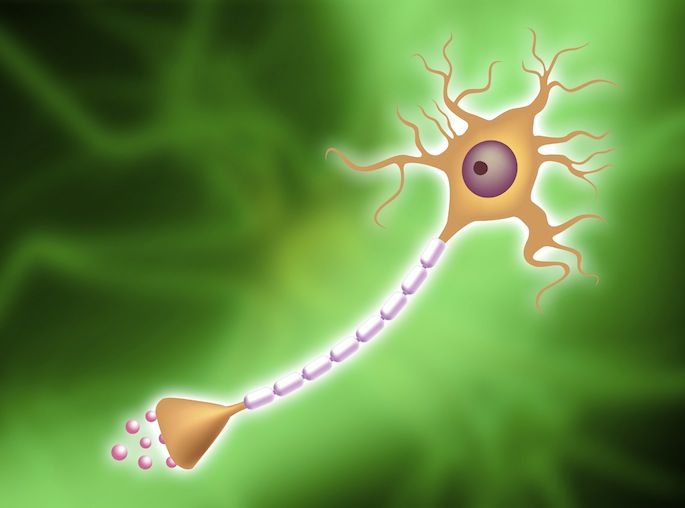 Vanderbilt University