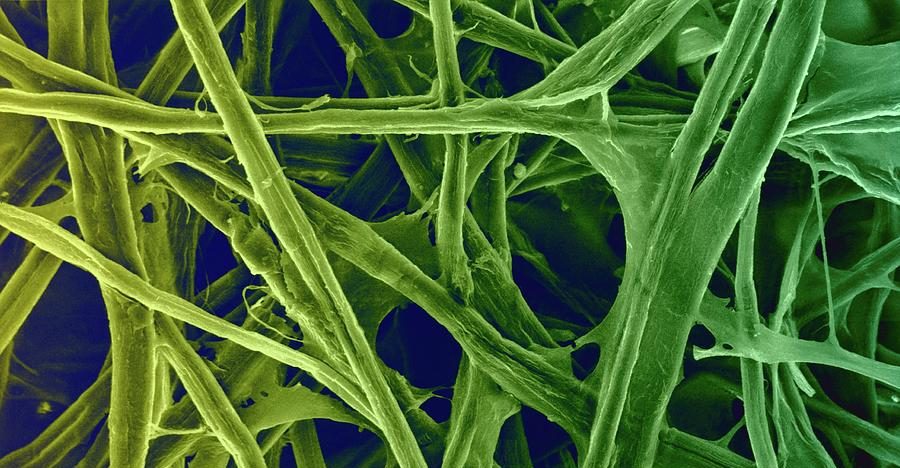 Vanderbilt University