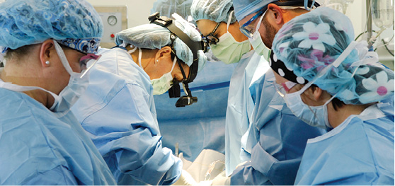 Vanderbilt University