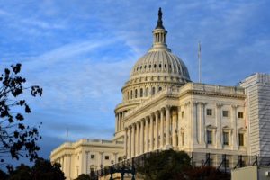Photograph of the US capitol in Washington, DC