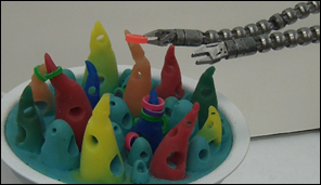 Vanderbilt University