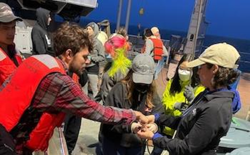 Vanderbilt University