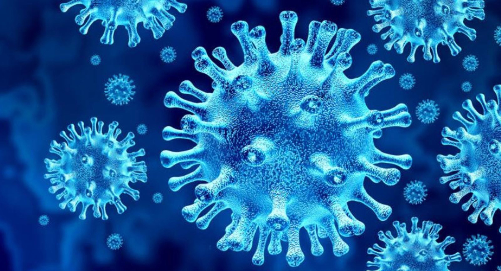 COVID under microscope