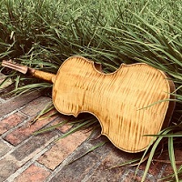 Vanderbilt University