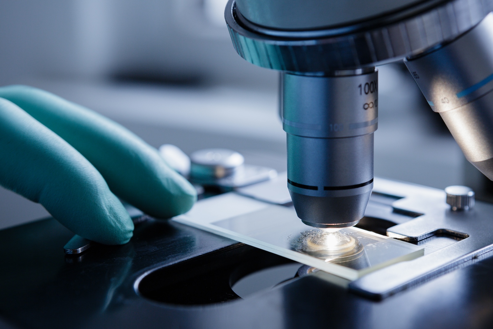 Close up view of scientist hands with gloves set the sample in the microscope for research.