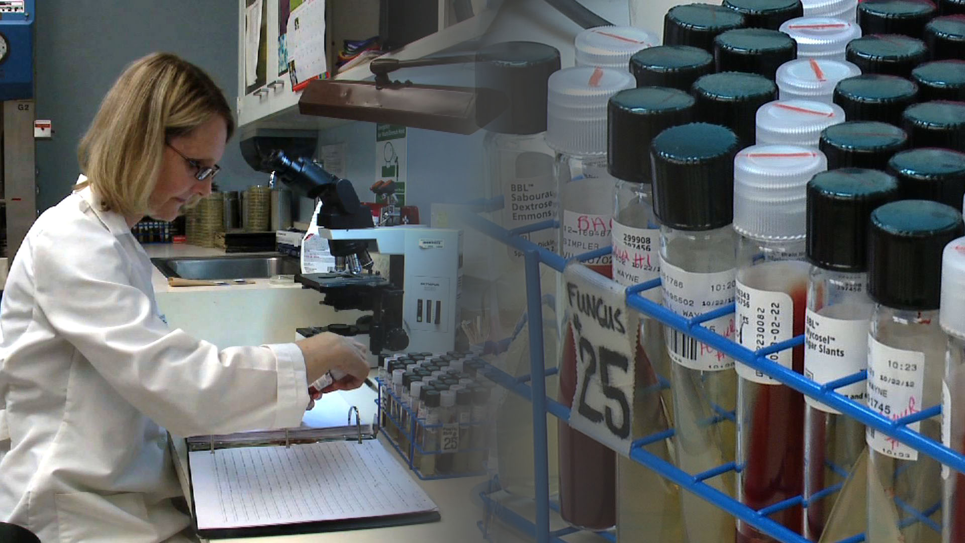 Vanderbilt University