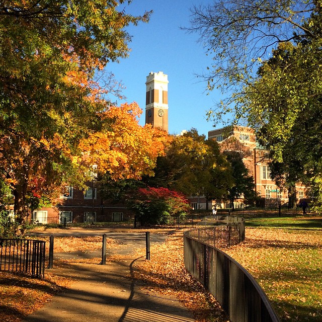 Vanderbilt Fall Colors