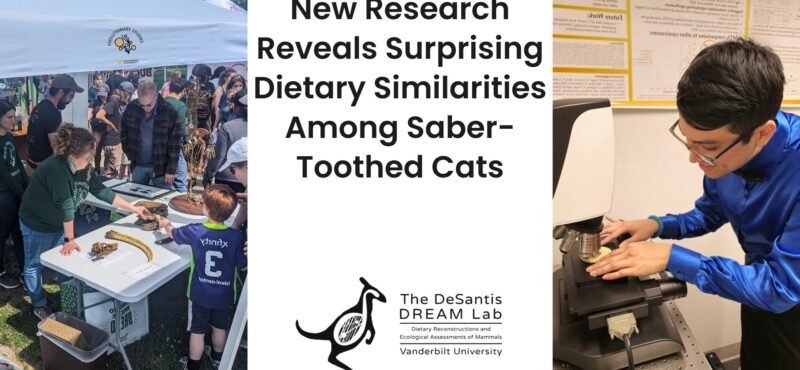 New Research Reveals Surprising Dietary Similarities Among Saber-Toothed Cats—Plus, Join Us for a Special Kids’ Day Event at Bridgestone Arena!