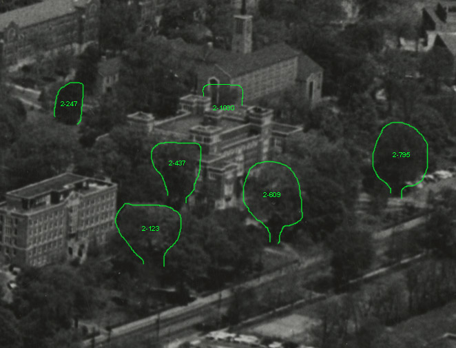 central library 1962