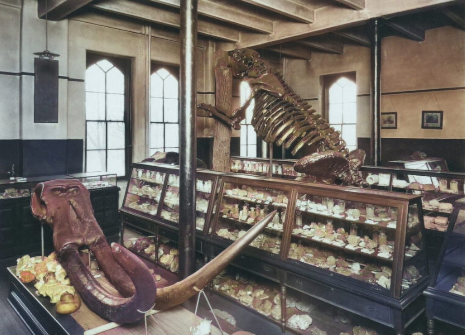 A colorized version of a photo of the exhibit room for the geology department in 1927