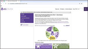 navigating an iris star legacy module
