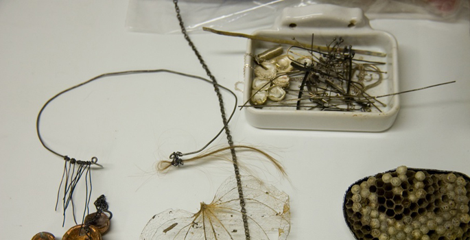 Vanderbilt University