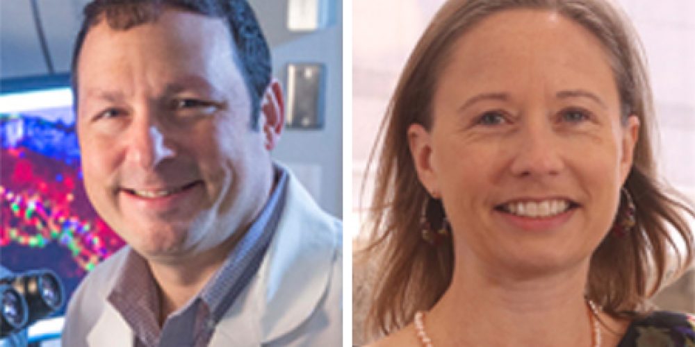 NEI grants help bolster glaucoma research efforts