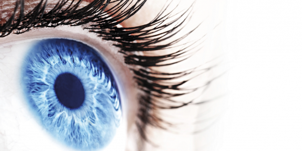 Aqueous humor, microRNAs and glaucoma