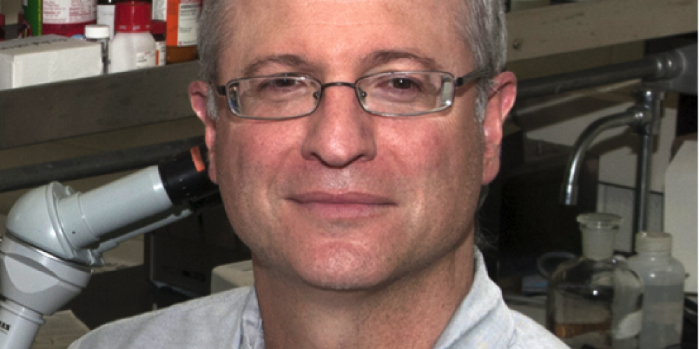 Oxidative Stress and its Functional Consequences Measured In Vivo by MRI